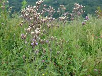 Raduno 4x4 27-07-2014 (96)